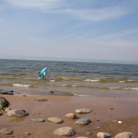 Vidlauci Skulte (Limbazi)