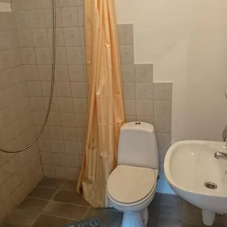 Vidlauci
